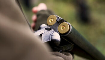 il-giallo-del-cacciatore-trovato-morto-in-un-bosco-dell’aspromonte