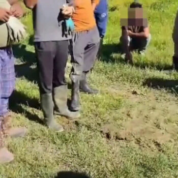 pordenone,-scoperti-9-lavoratori-in-nero-tra-cui-7-braccianti-agricoli