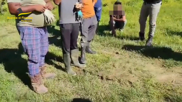 pordenone,-scoperti-9-lavoratori-in-nero-tra-cui-7-braccianti-agricoli
