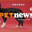 petnews-magazine-–-3/10/2023