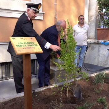 ospedali-piu-green,-al-via-il-progetto-“un-albero-per-la-salute”