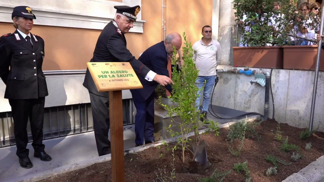 ospedali-piu-green,-al-via-il-progetto-“un-albero-per-la-salute”