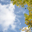 l’autunno-tarda-ancora:-arrivera-a-meta-ottobre