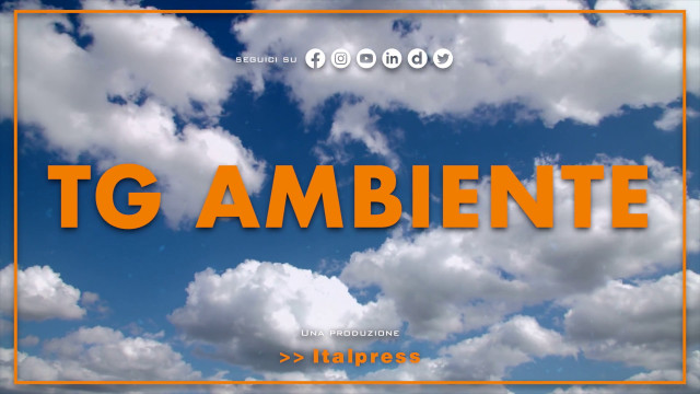 tg-ambiente-–-8/10/2023