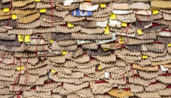 indagine-sulla-sostenibilita,-bayer-al-primo-posto-secondo-i-farmacisti