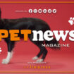 petnews-magazine-–-10/10/2023