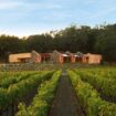 intesa-sanpaolo-e-marchesi-antinori-insieme-per-made-in-italy-nel-mondo
