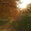 la-prossima-settimana-arriva-l’autunno