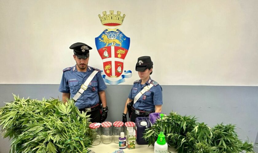 sequestrati-2-chili-di-droga-a-roma,-16-persone-arrestate-dai-carabinieri