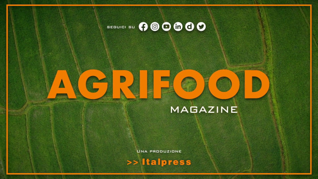 agrifood-magazine-–-11/10/2023