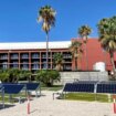 enea-presenta-il-primo-impianto-algovoltaico-in-italia