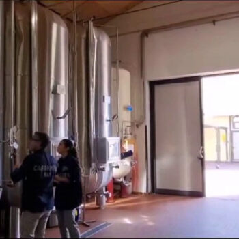 nas-sequestrano-300-mila-litri-di-vini,-multe-per-290-mila-euro