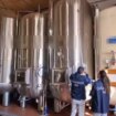 controlli-dei-nas,-sequestrati-300-mila-litri-di-vini-e-multe-per-290-mila-euro