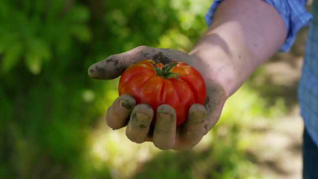 bio,-piu-ettari-assicurati-nel-2022