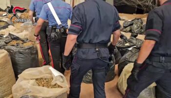 reggio-calabria,-sequestrate-3-tonnellate-di-cannabis
