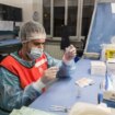 trend-contagi-covid-in-decrescita,-salgono-i-ricoveri