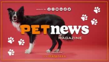 petnews-magazine-–-17/10/2023