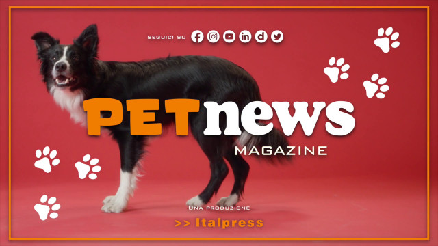 petnews-magazine-–-17/10/2023