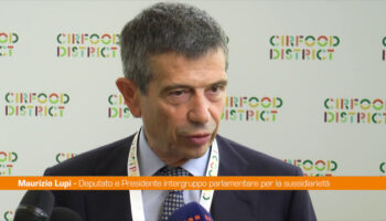 ristorazione-collettiva,-lupi-“attivita-in-funzione-servizio-pubblico”