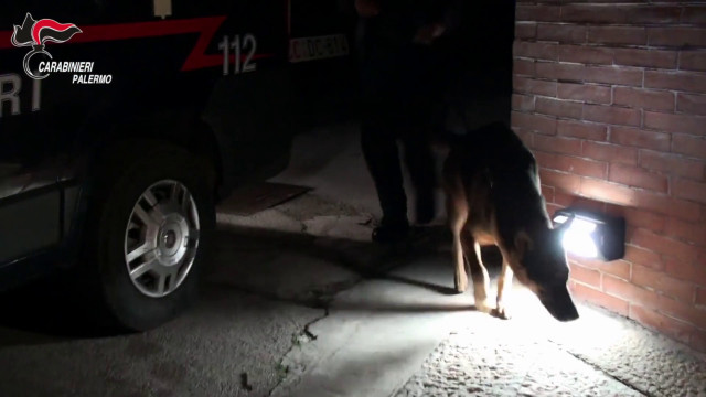 agevolava-scambio-di-informazioni-tra-clan,-arrestata-nel-palermitano