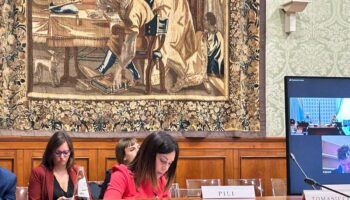 l’assessore-pili-a-roma-alla-cabina-di-regia-su-energia-e-ambiente