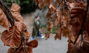 tregua-maltempo,-la-pioggia-tornera-nella-prossima-settimana