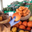 agricoltura-a-rischio-tra-caldo-ed-eventi-estremi.-l’allarme-di-coldiretti