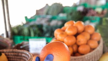 agricoltura-a-rischio-tra-caldo-ed-eventi-estremi.-l’allarme-di-coldiretti
