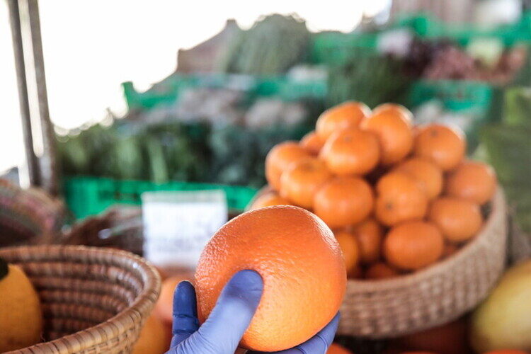 agricoltura-a-rischio-tra-caldo-ed-eventi-estremi.-l’allarme-di-coldiretti