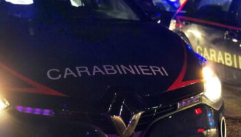 un-cane-e-precipitato-da-un-palazzo-su-una-donna-incinta