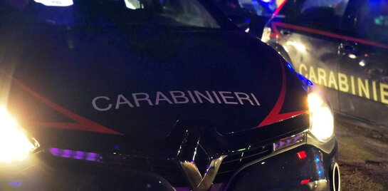 un-cane-e-precipitato-da-un-palazzo-su-una-donna-incinta