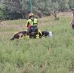 lo-spettacolare-salvataggio-di-un-cavallo-precipitato-in-un-dirupo-nel-crotonese-[video]