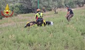 lo-spettacolare-salvataggio-di-un-cavallo-precipitato-in-un-dirupo-nel-crotonese-[video]