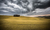 allarme-per-le-colture-ingannate-dal-caldo