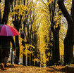fine-ottobre-con-tempo-instabile-in-tutte-le-regioni