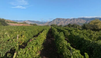 turismo-enologico,-ricavi-in-aumento-del-67%