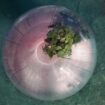 “luca-locatelli.-the-circle”-–-soluzioni-per-un-futuro-possibile
