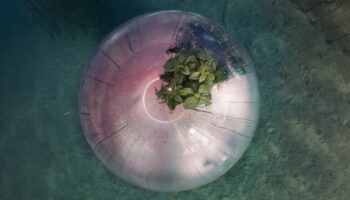 “luca-locatelli.-the-circle”-–-soluzioni-per-un-futuro-possibile