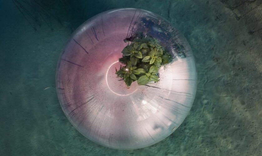 “luca-locatelli.-the-circle”-–-soluzioni-per-un-futuro-possibile