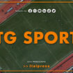 tg-sport-–-31/10/2023