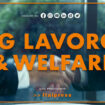 tg-lavoro-&-welfare-–-2/11/2023