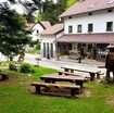 carne-d’orso-servita-a-tavola,-la-discutibile-‘specialita’-di-una-trattoria-slovena  