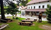 carne-d’orso-servita-a-tavola,-la-discutibile-‘specialita’-di-una-trattoria-slovena  
