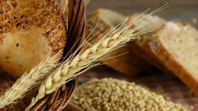 una-cabina-di-regia-per-i-controlli-sull’import-del-grano-duro