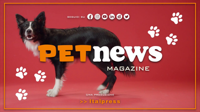 petnews-magazine-–-7/11/2023