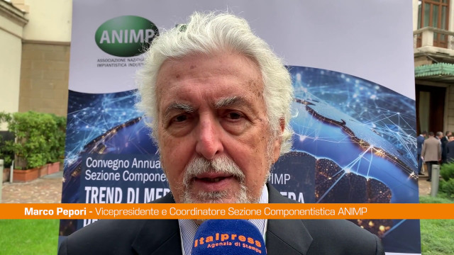 pepori-(animp)-“sezione-internazionalizzazione-centrale-per-imprese”