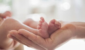 il-console-italiano-assume-provvedimenti-tutelari-per-indi-gregory
