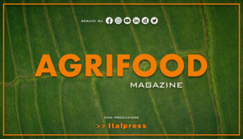agrifood-magazine-–-8/11/2023