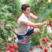agroalimentare,-i-costi-nascosti-valgono-il-10%-del-pil-mondiale