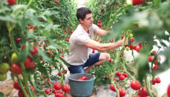 agroalimentare,-i-costi-nascosti-valgono-il-10%-del-pil-mondiale